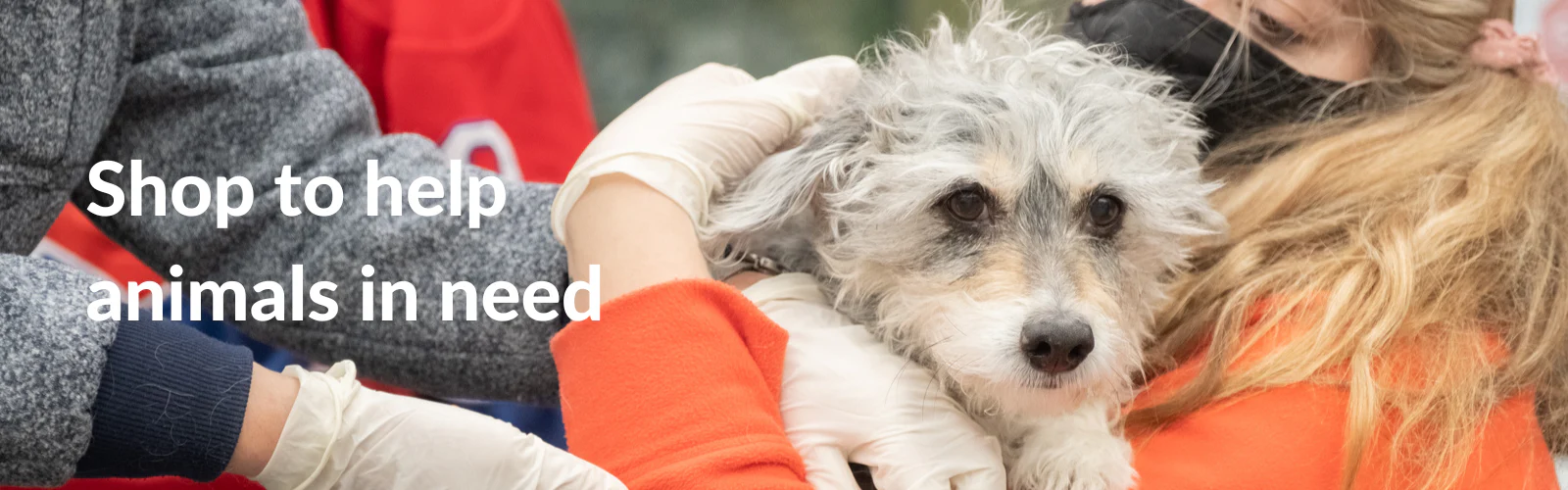 Welcome to Our Store