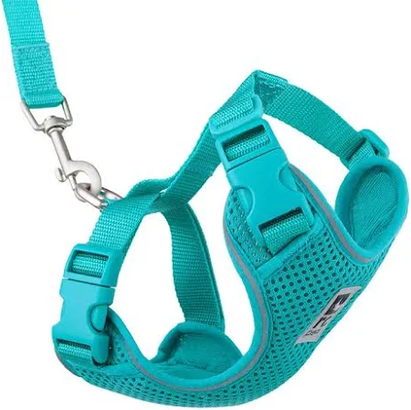 Adventure Kitty Harness - Image 13