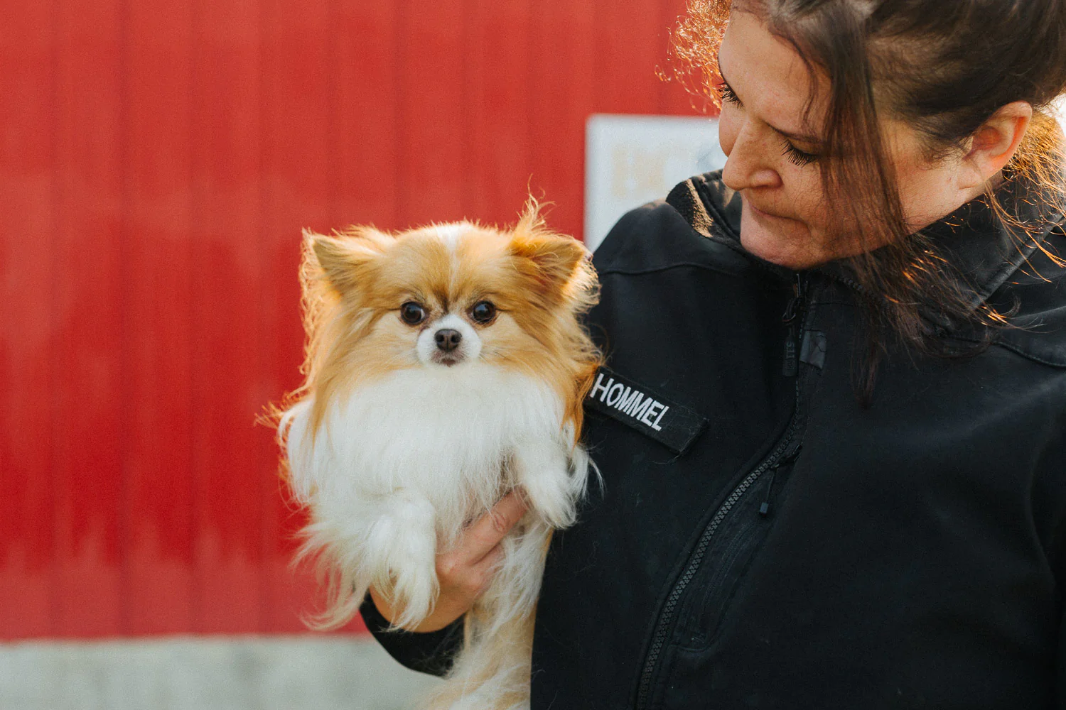Animal Protection Investigation Support - Image 4