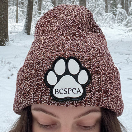 BC SPCA Beanie - Image 3