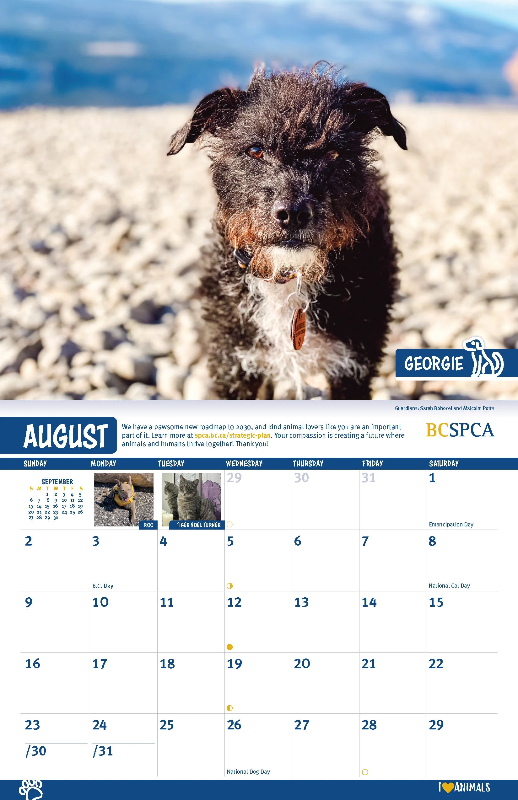 BC SPCA Calendar - Image 10