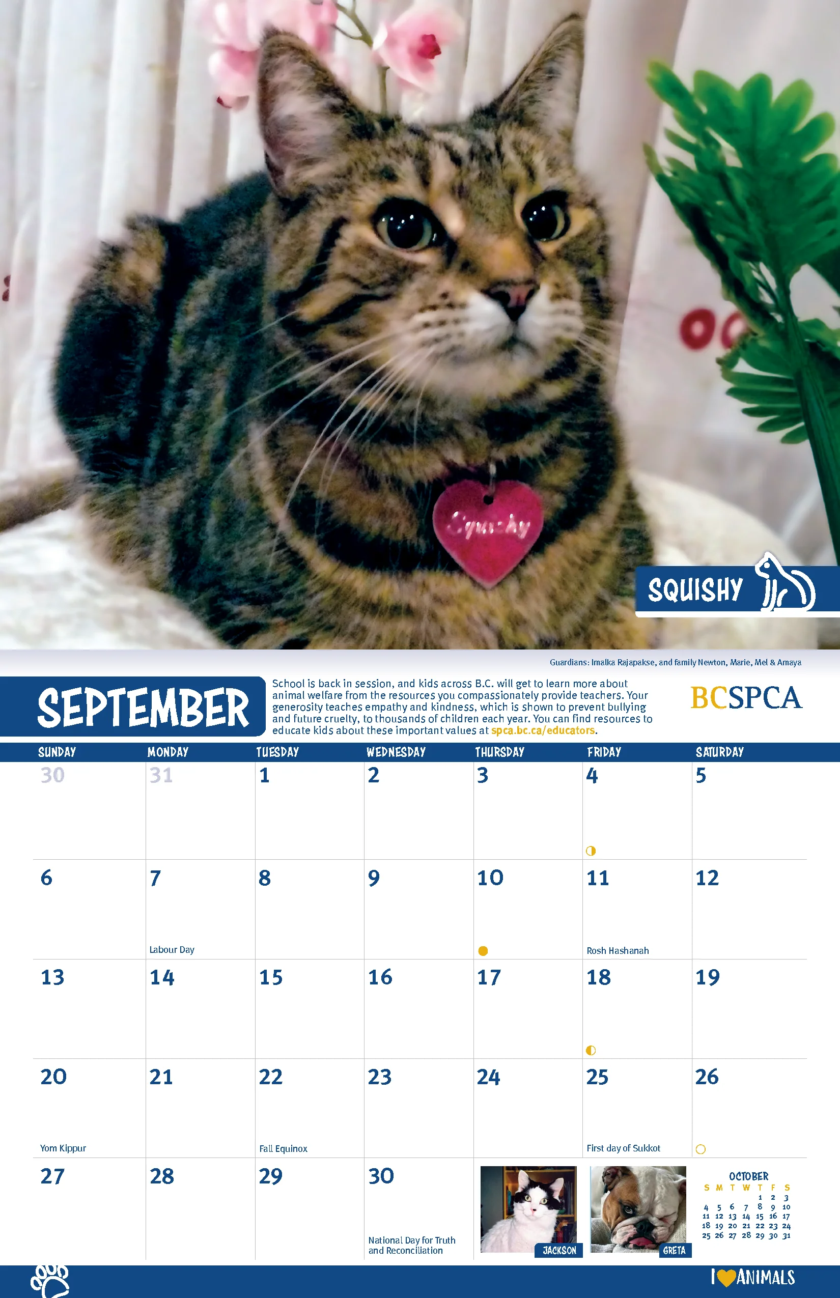 BC SPCA Calendar - Image 11