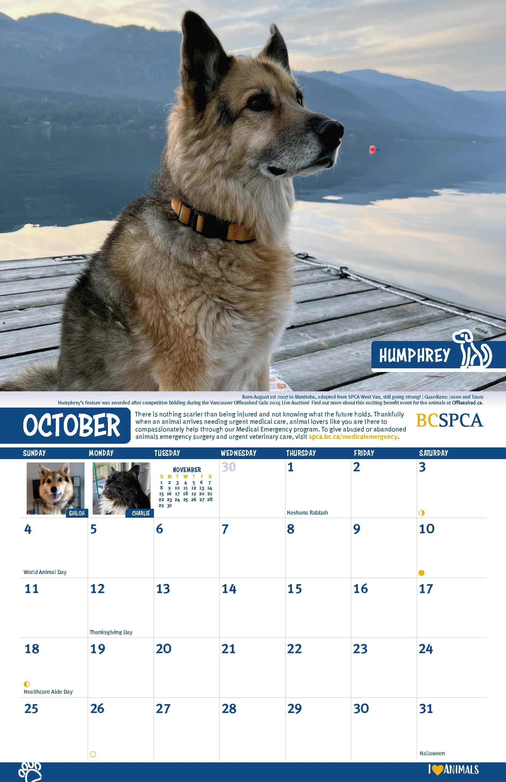 BC SPCA Calendar - Image 12
