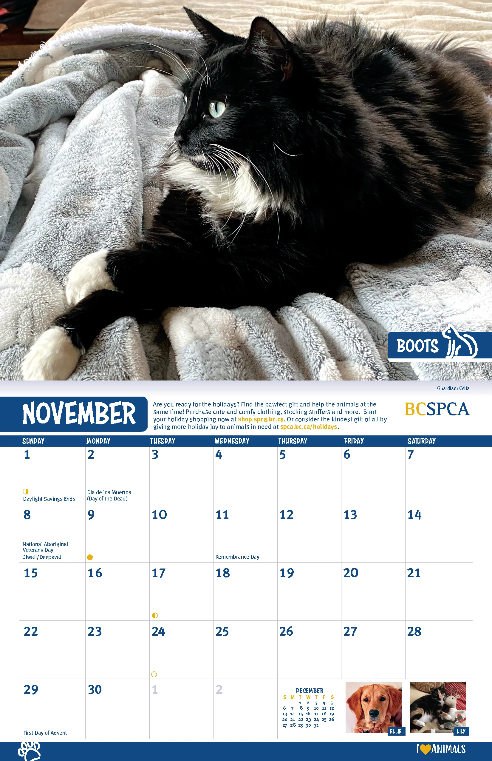 BC SPCA Calendar - Image 13