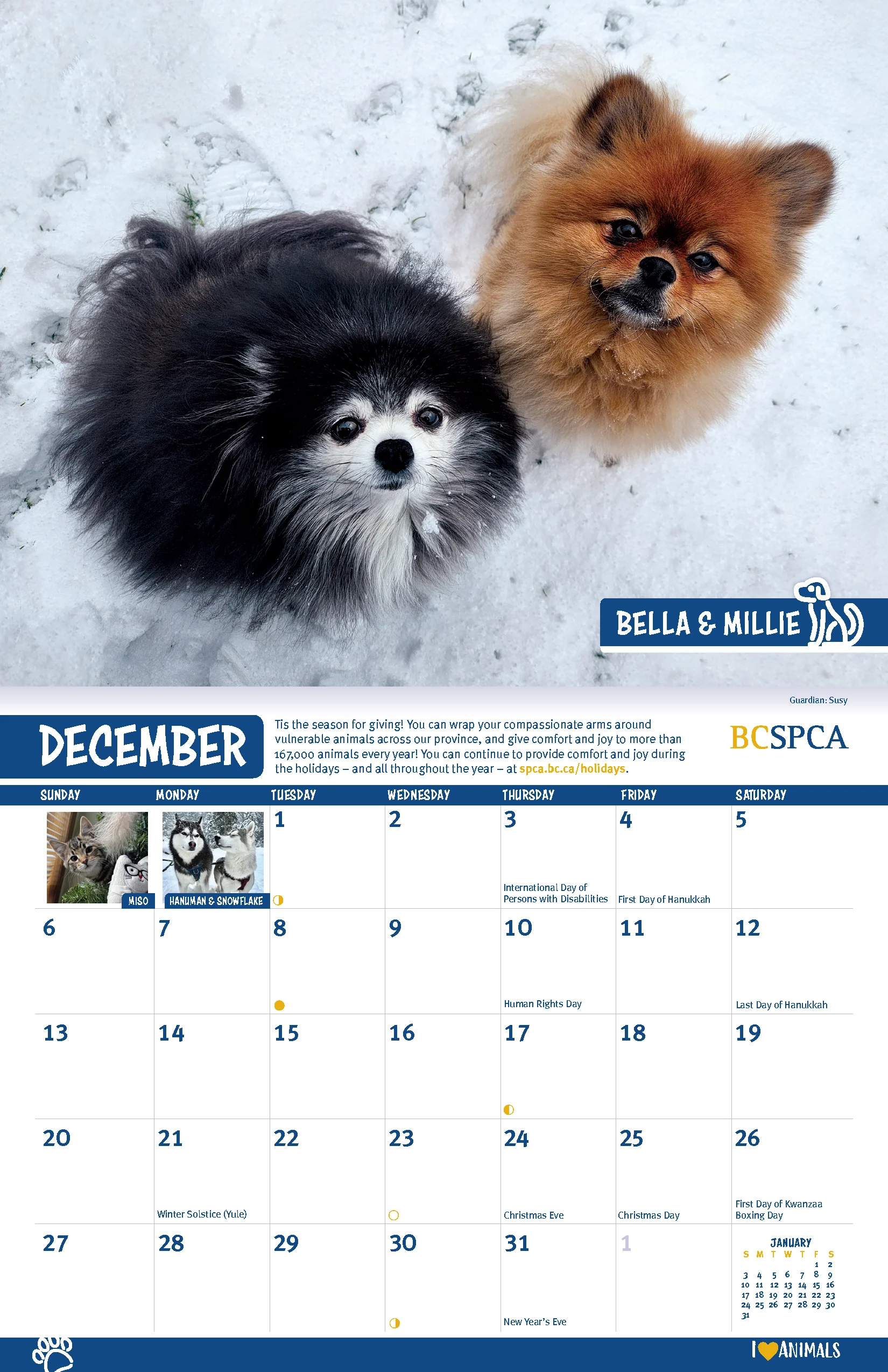 BC SPCA Calendar - Image 14