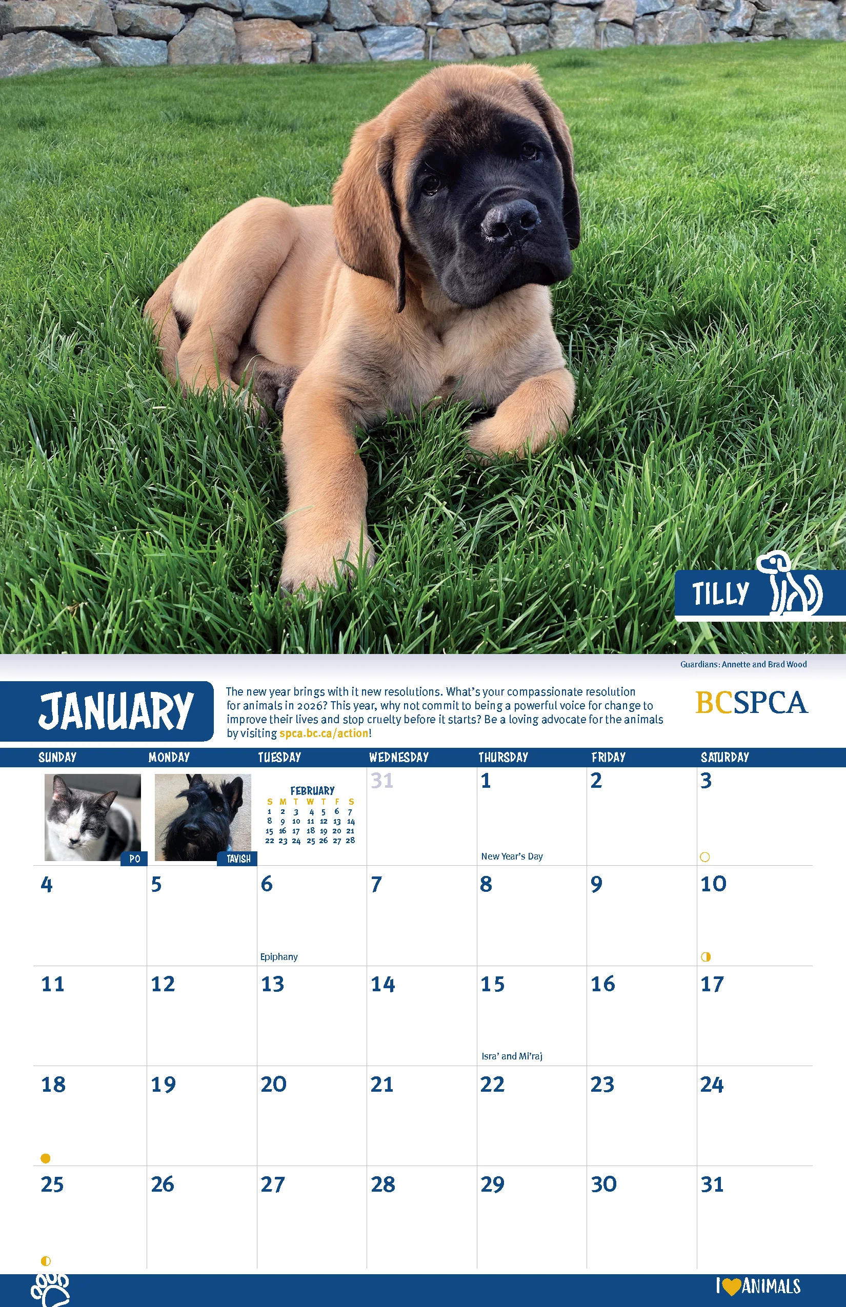 BC SPCA Calendar - Image 3
