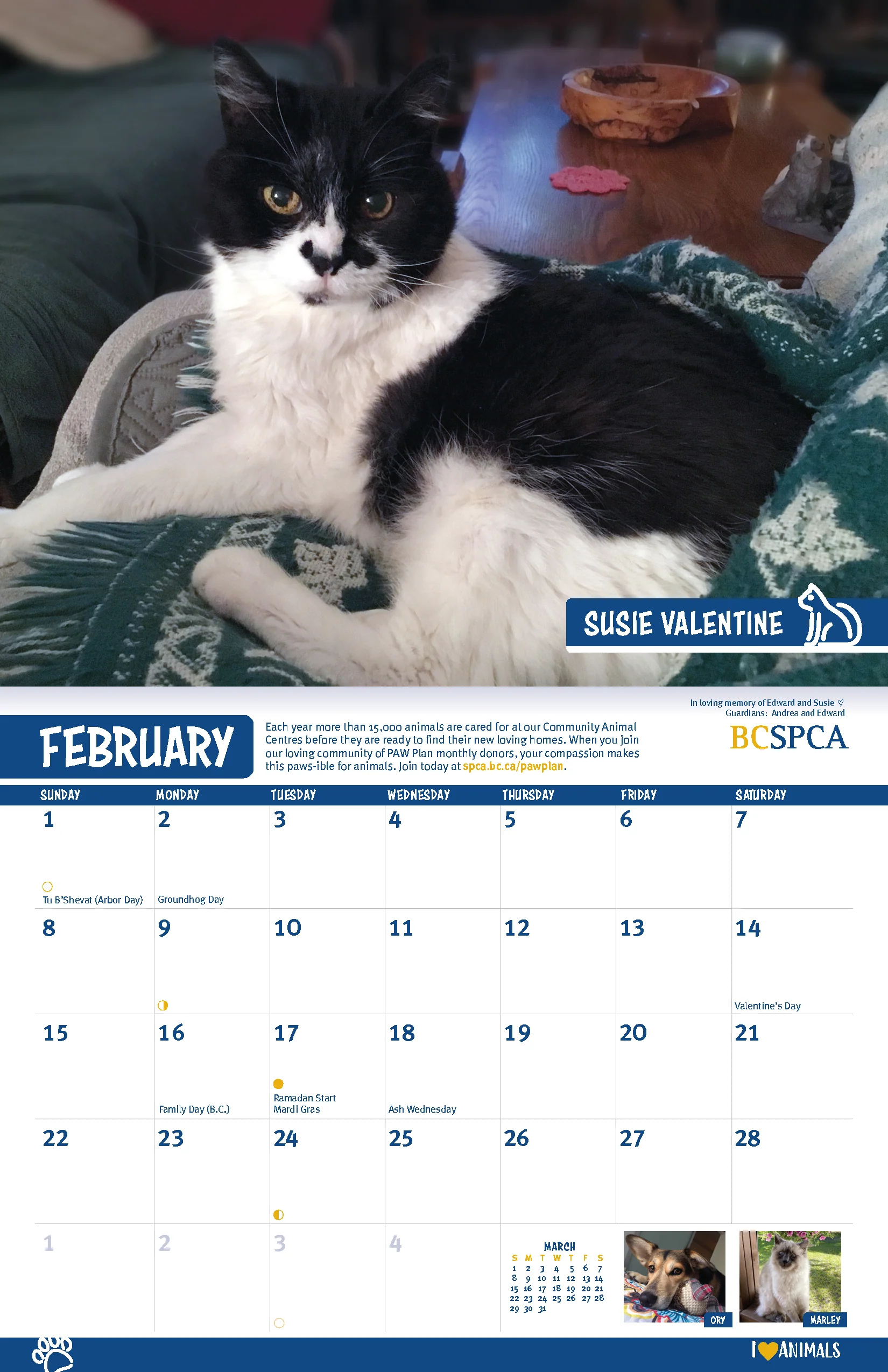 BC SPCA Calendar - Image 4