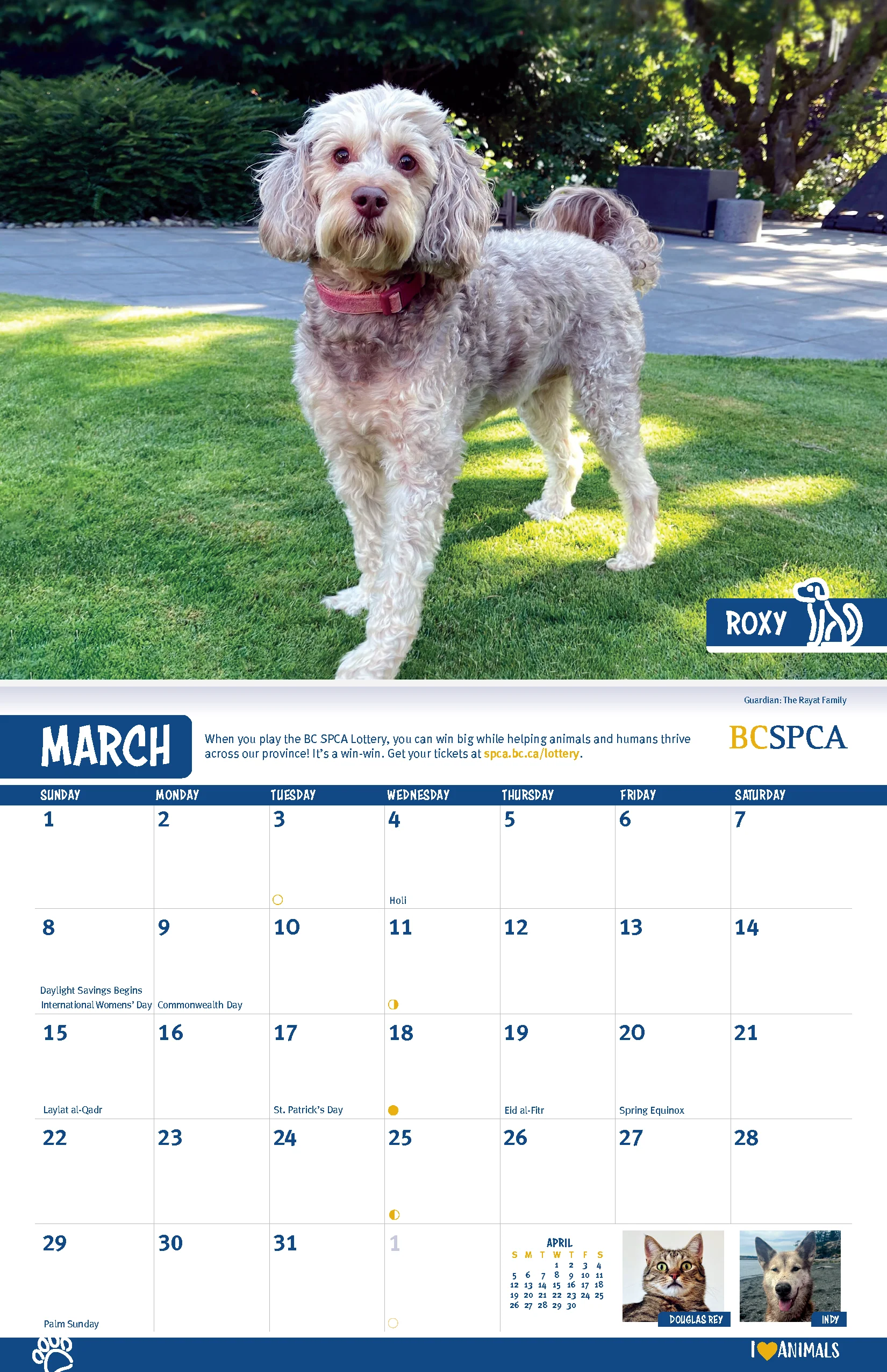 BC SPCA Calendar - Image 5