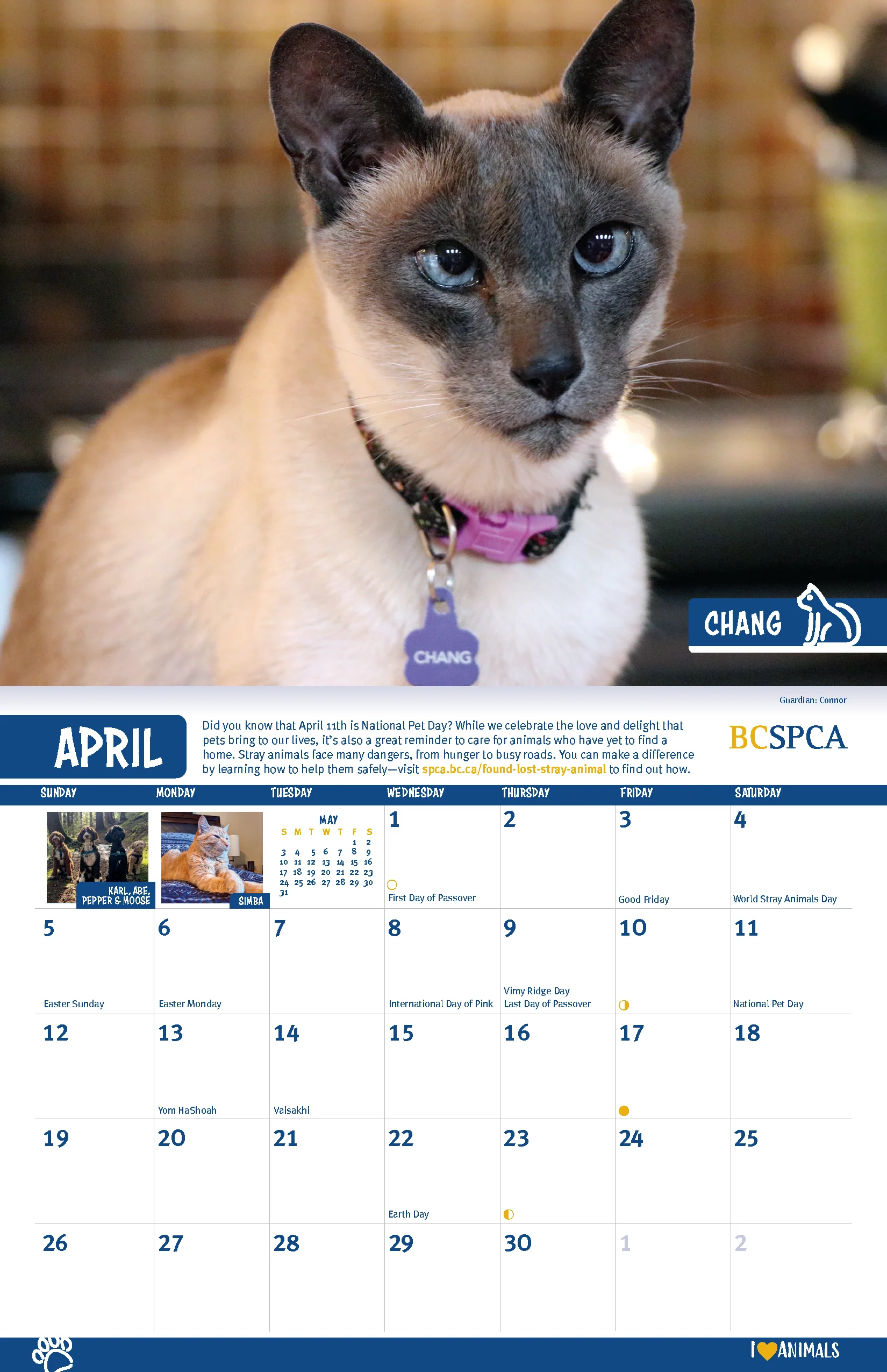 BC SPCA Calendar - Image 6