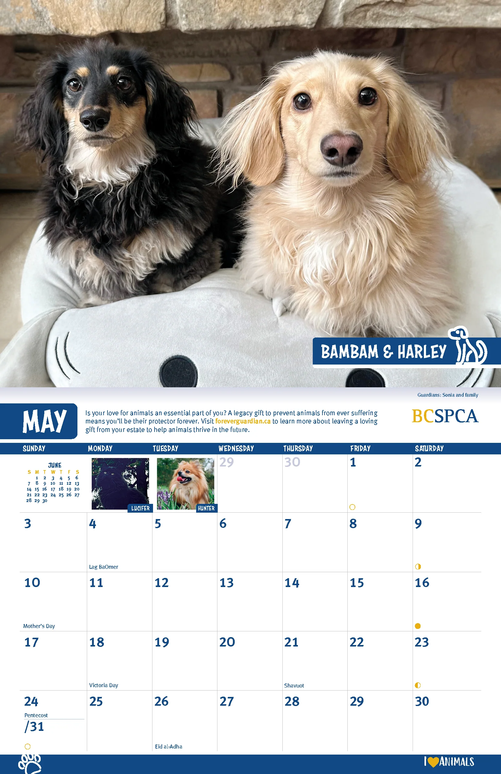BC SPCA Calendar - Image 7