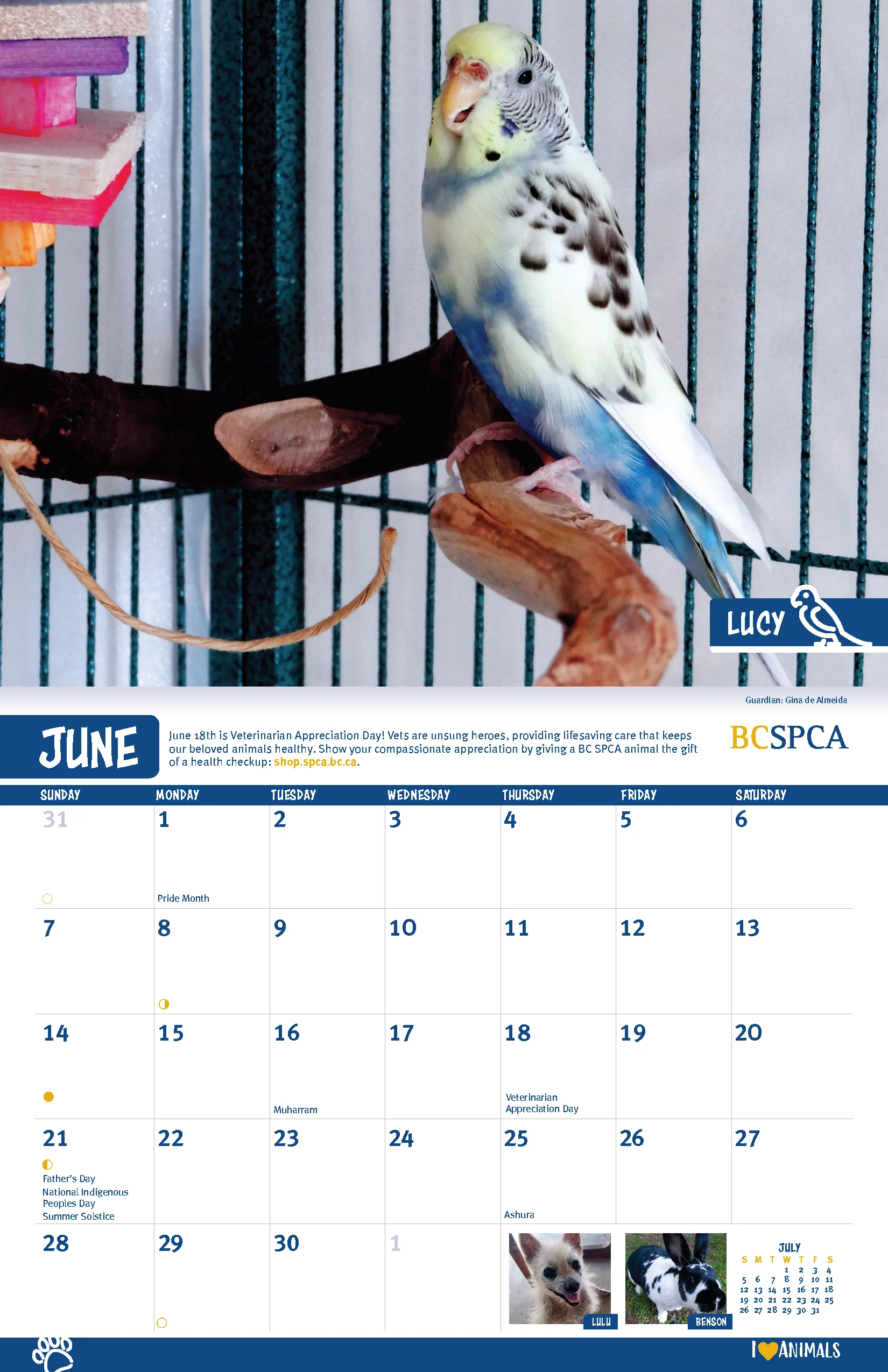 BC SPCA Calendar - Image 8