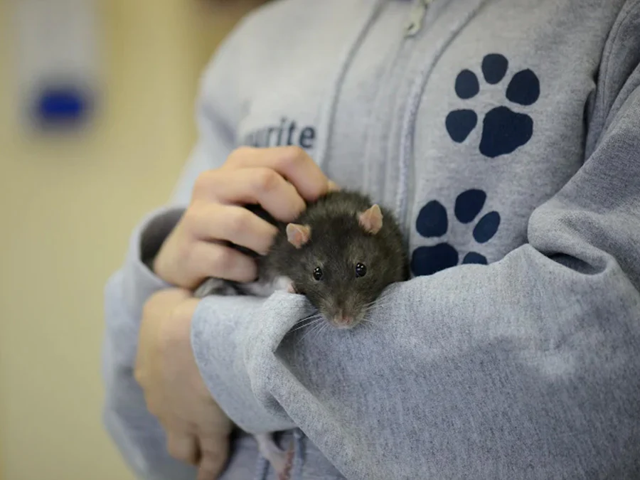 Critter Care - Image 4