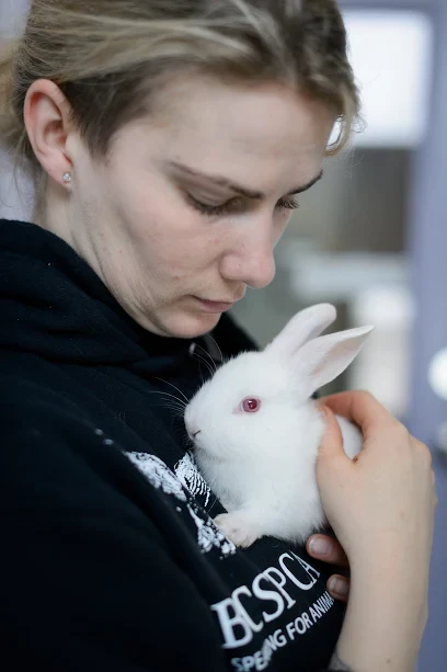 Critter Care - Image 5