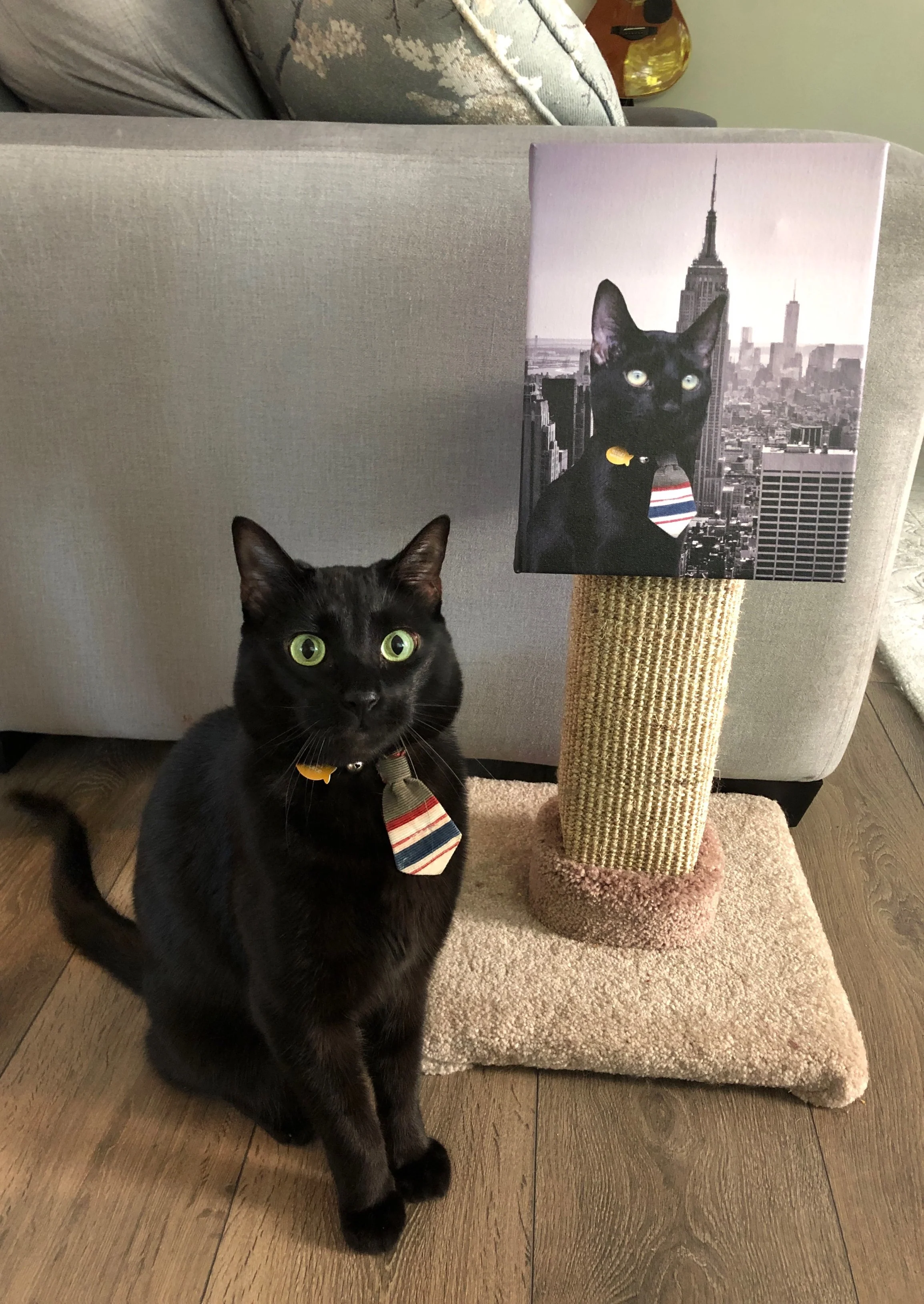 Custom Pet Cut-Out Canvas Print - Image 7