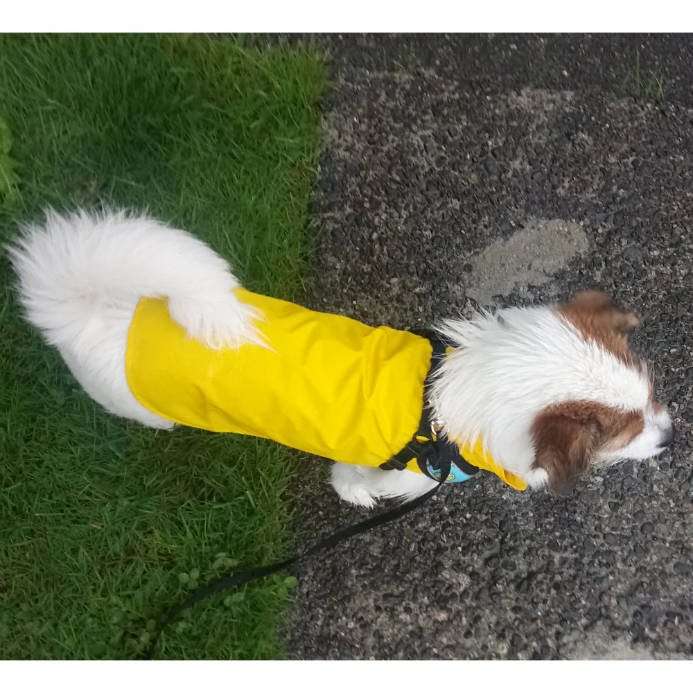 Dog Rain Jacket - Image 11