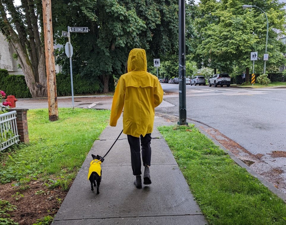 Dog Rain Jacket - Image 13