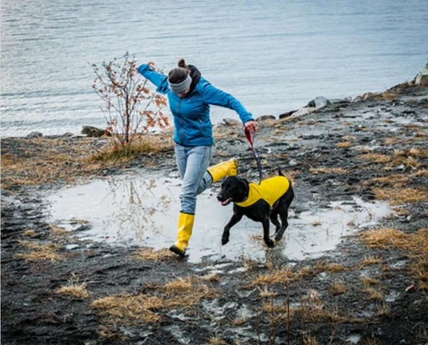 Dog Rain Jacket - Image 4