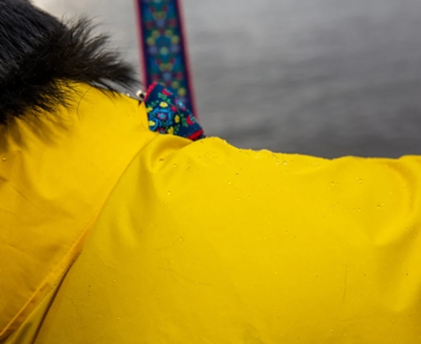 Dog Rain Jacket - Image 5