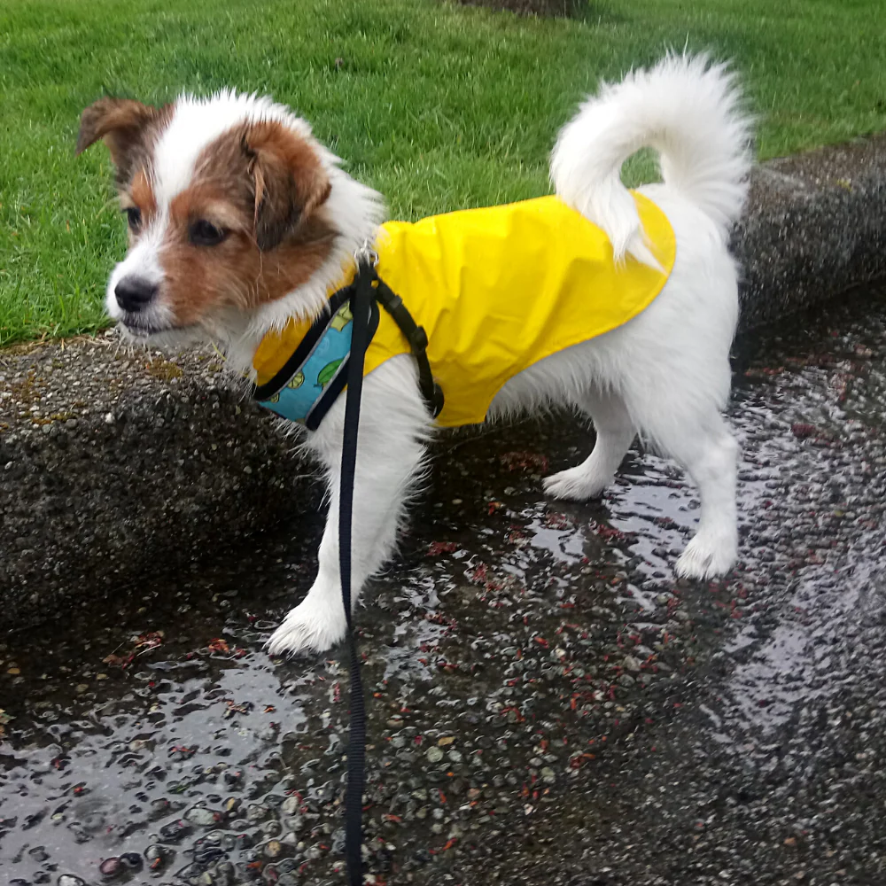 Dog Rain Jacket - Image 8
