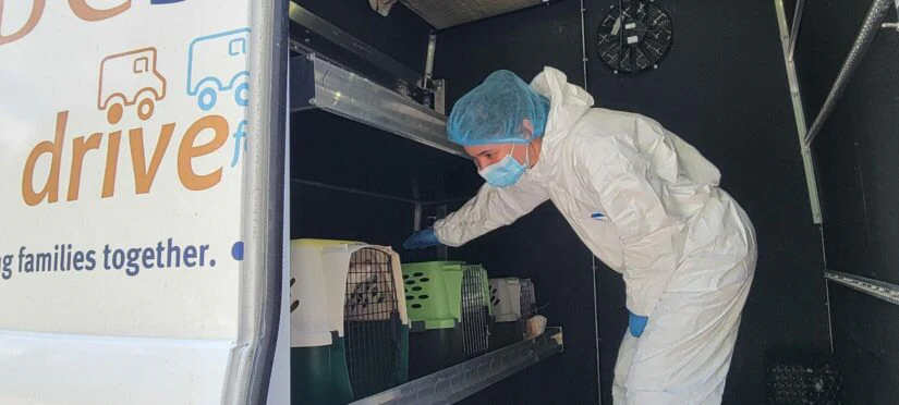 Animal Emergency Response Care - Image 3