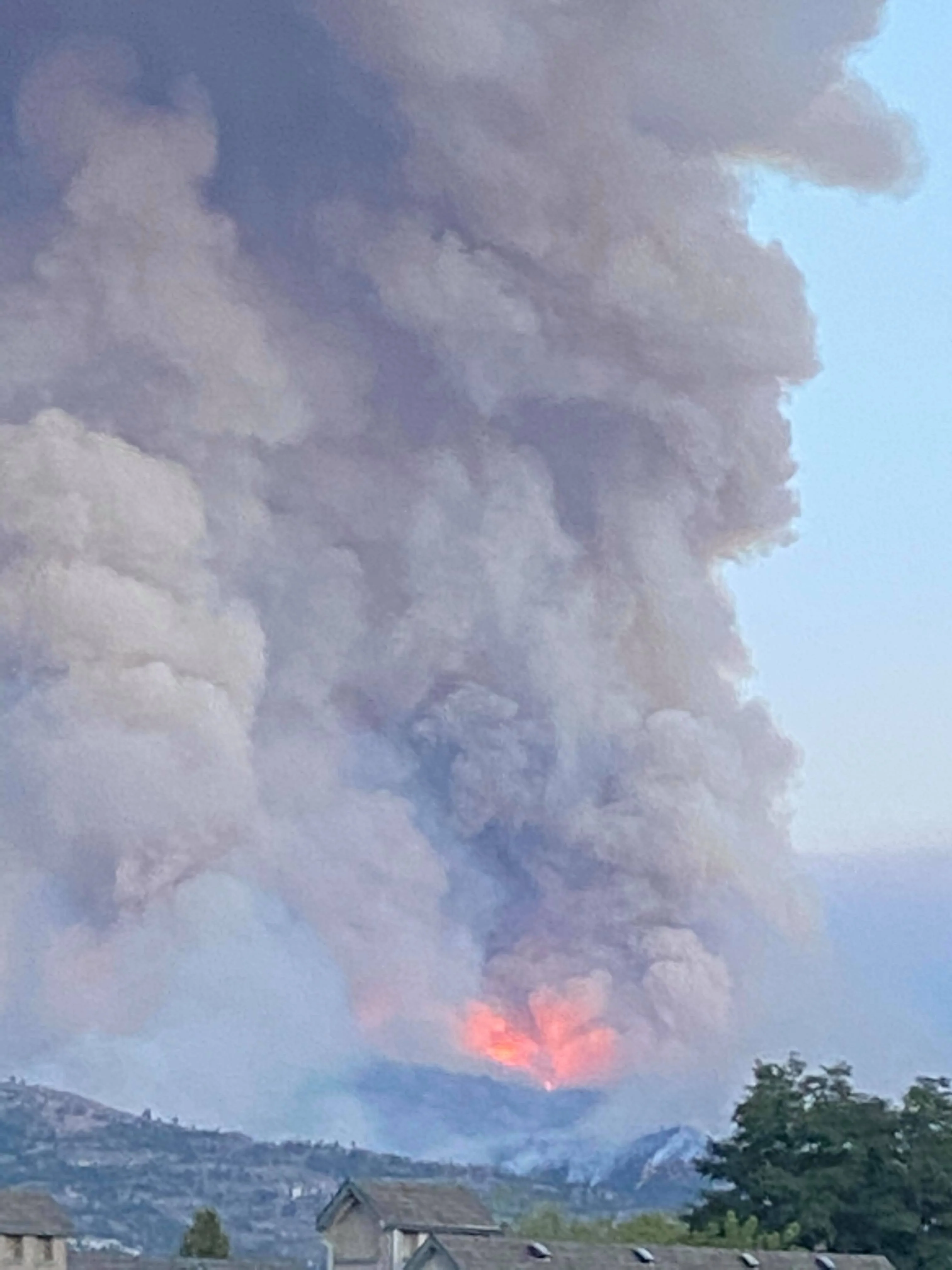 Animal Emergency Response Care - Image 5