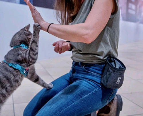 Essential Treat Bag - Image 6