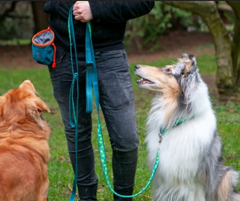 Essential Treat Bag - Image 7
