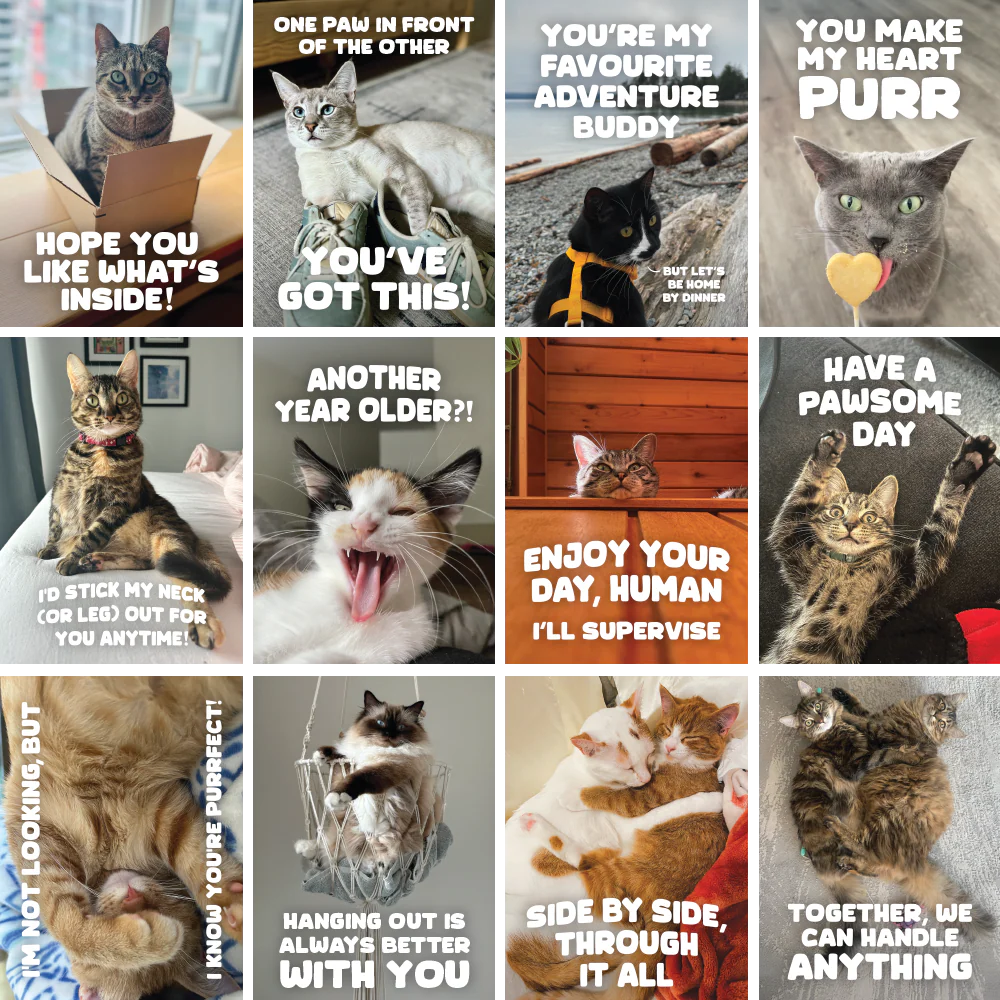 Greeting Cards - Image 3