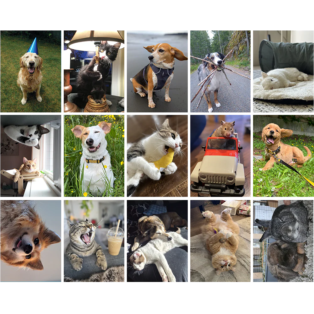 Greeting Cards - Image 4