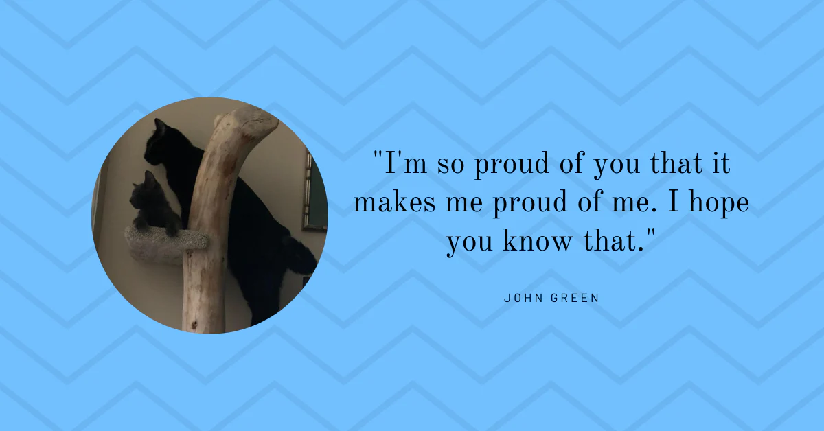 Happy 'Paw'thers day - Image 3