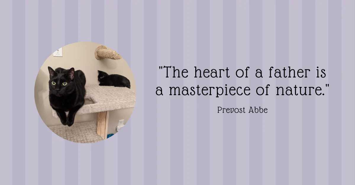 Happy 'Paw'thers day - Image 4