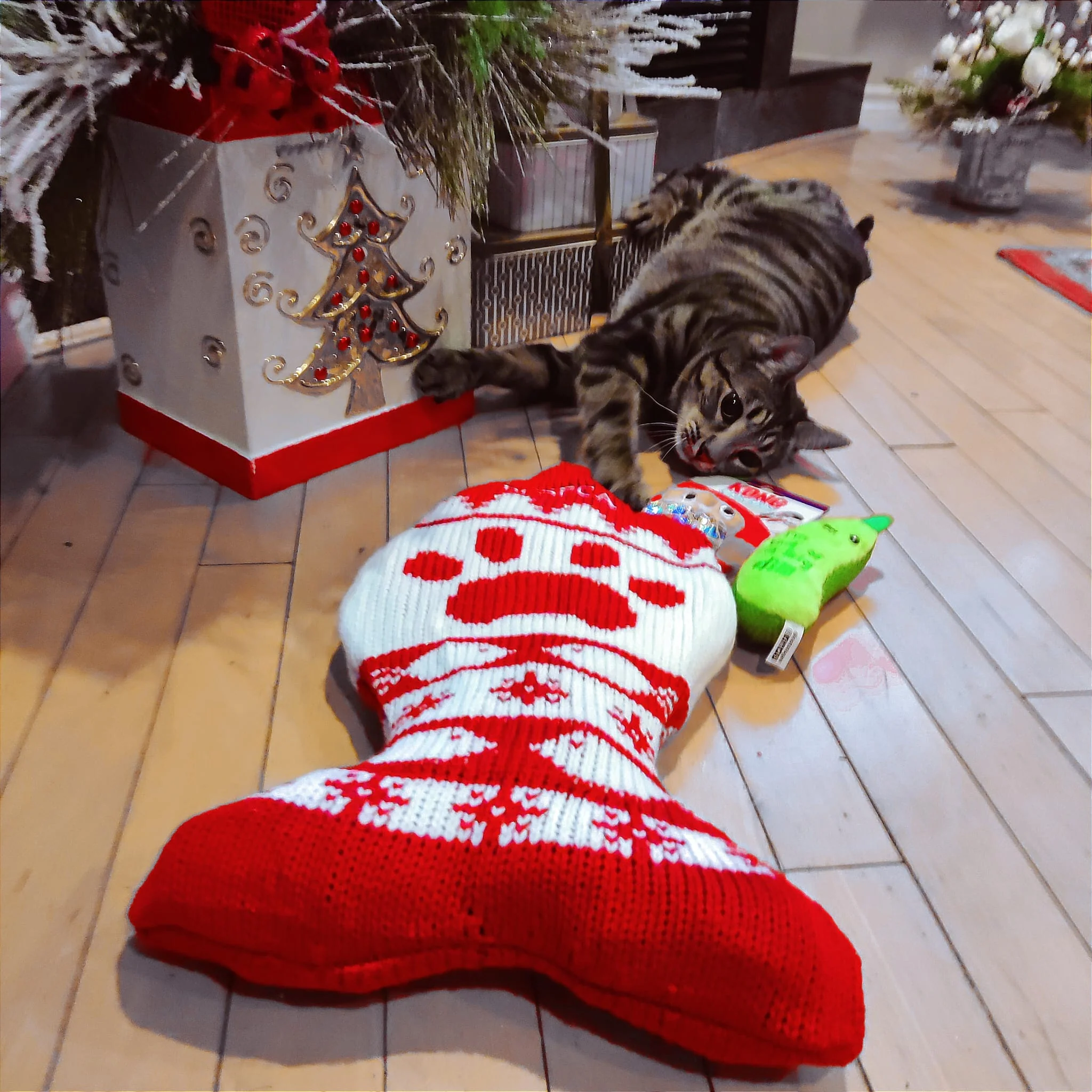 Holiday Pet Stocking - Image 3