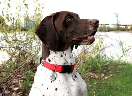 ID Reflective Tag Clip - Image 3