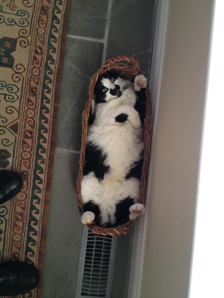 In Memory of the Loved and Lost - Image 3