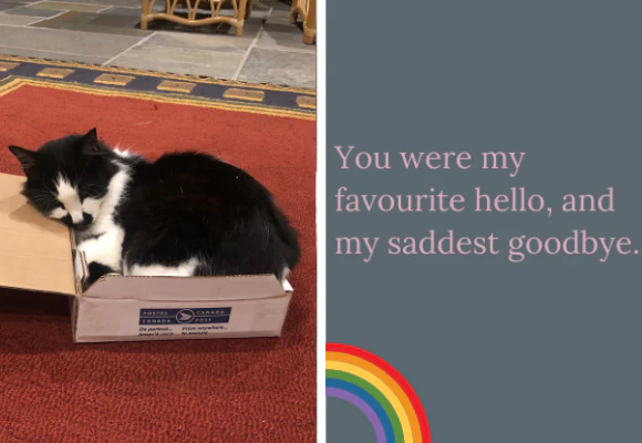 In Memory of the Loved and Lost - Image 4