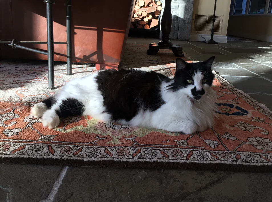 In Memory of the Loved and Lost - Image 6