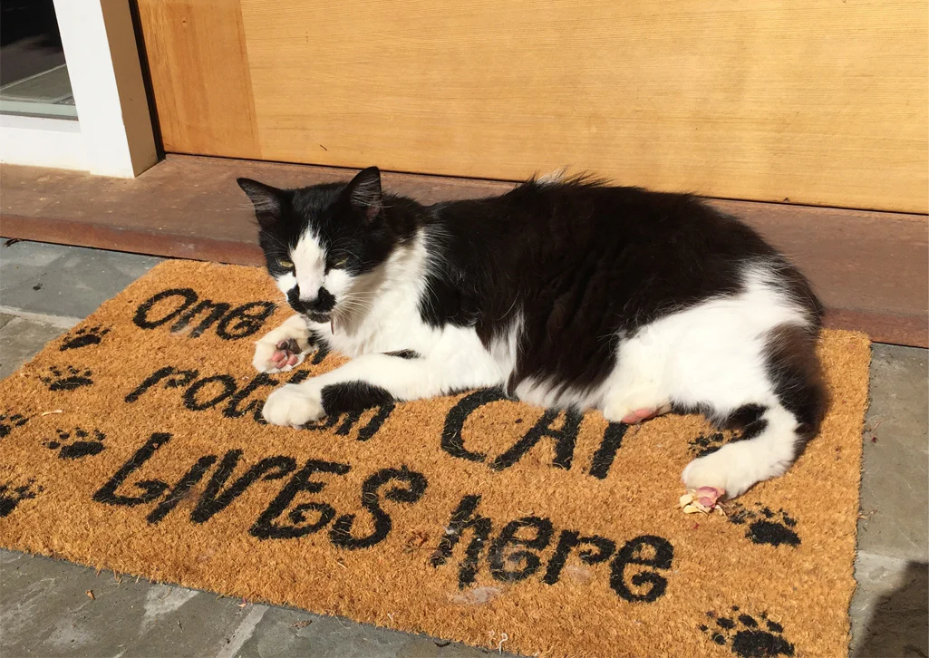 In Memory of the Loved and Lost - Image 7