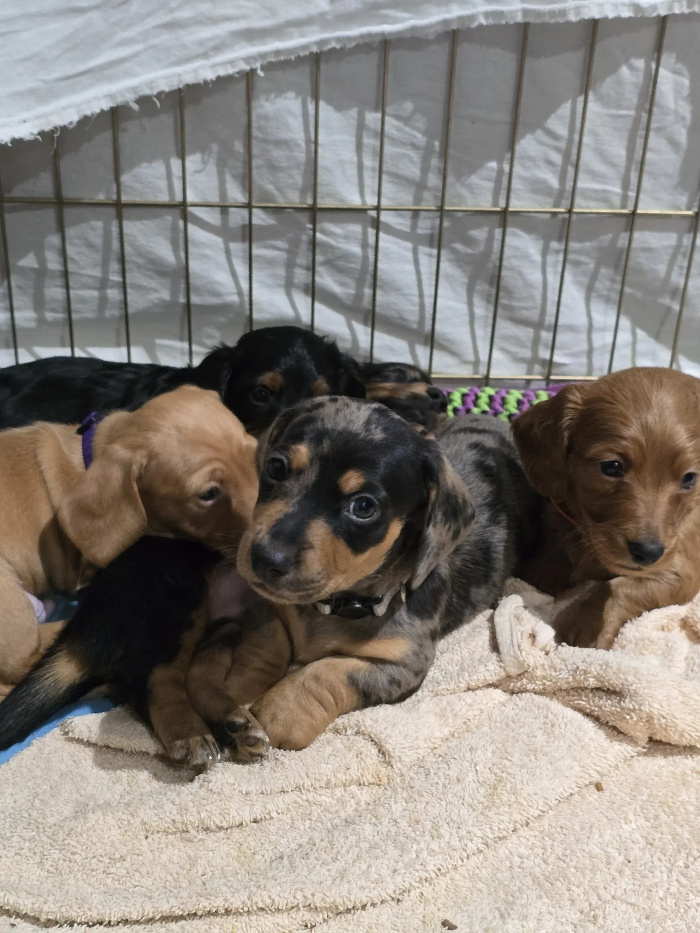 Love for a Mom - Image 3