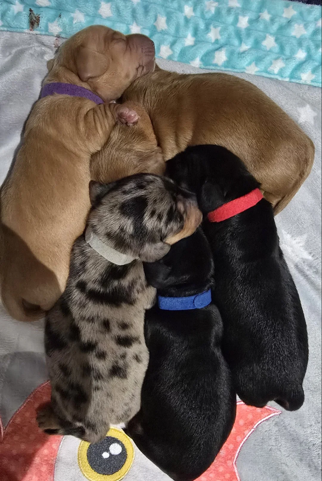 Love for a Mom - Image 4