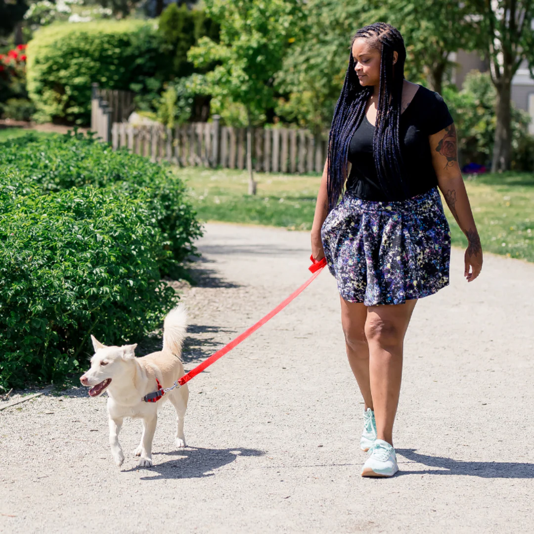 Pace No Pull Dog Harness - Image 4