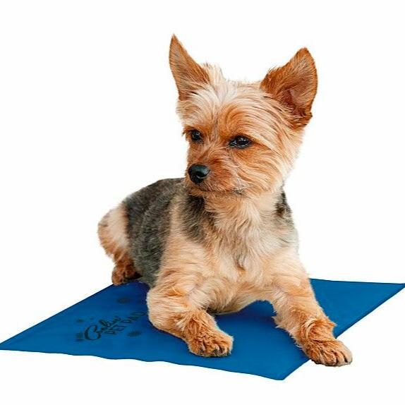 Pet Cooling Pad - Image 4