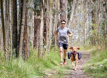 Quest Doggie Day Pack - Image 4