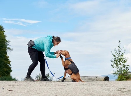 Quest Doggie Day Pack - Image 5