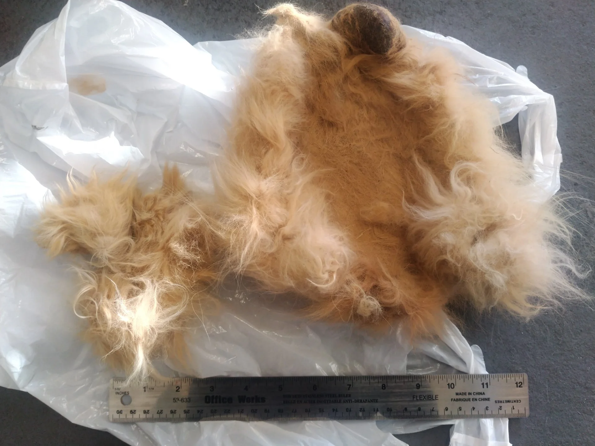 Rescue and recovery care for a day - Image 3