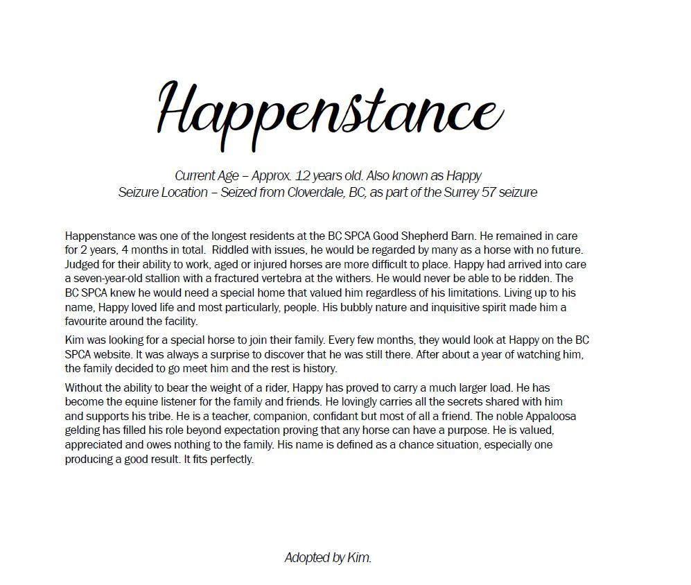 Rescue Me - Horse Book - Image 9