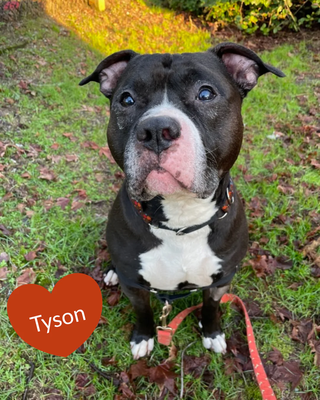 Send a Valentine - Image 11