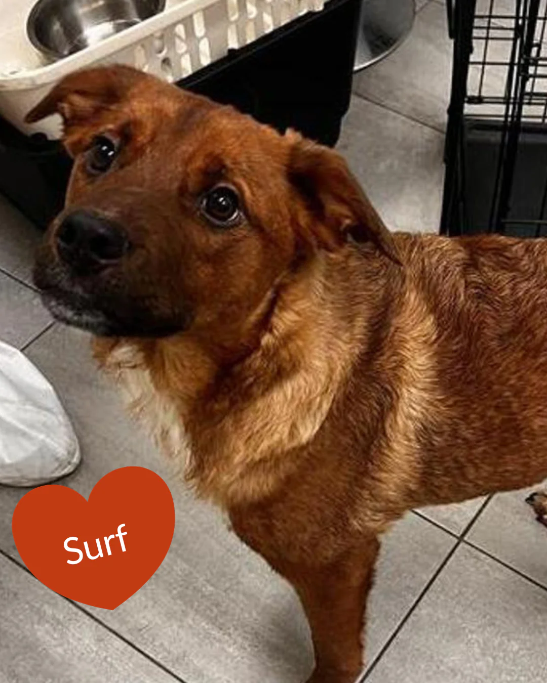 Send a Valentine - Image 3