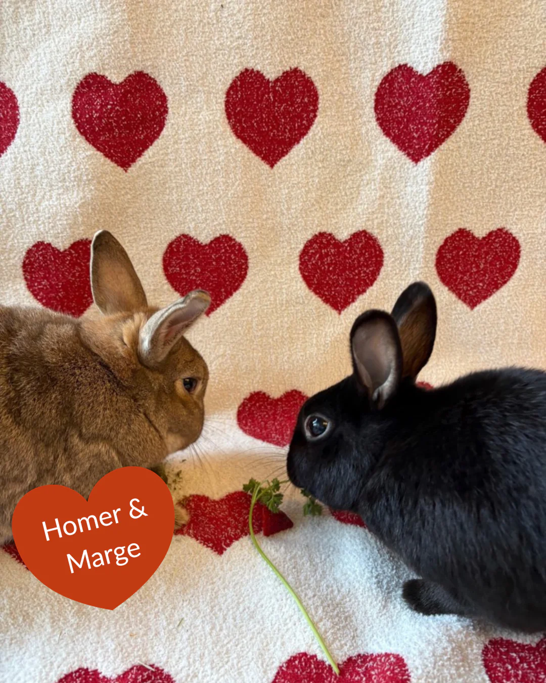 Send a Valentine - Image 5