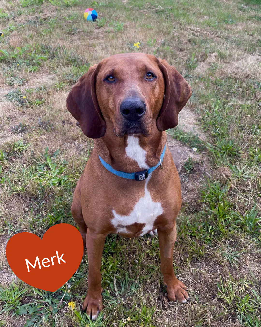 Send a Valentine - Image 7