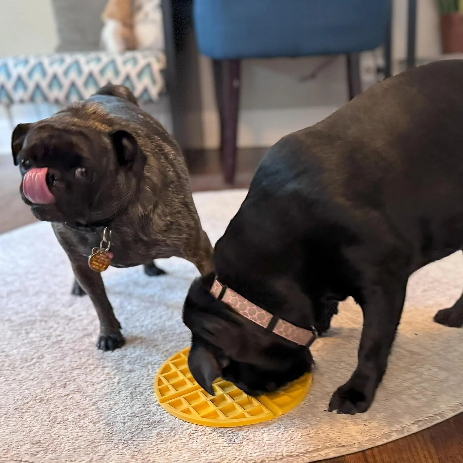 SPOT - Belgian Waffle Lick Mat - Image 4